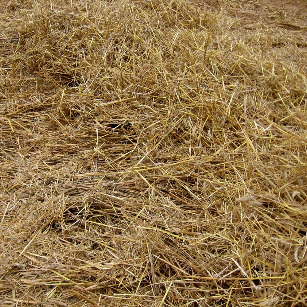 Pailles de blé durables en vrac