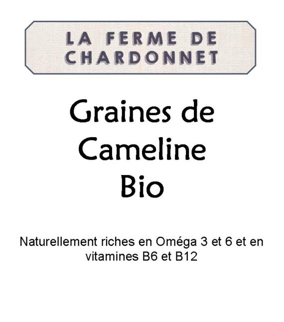 Graines de cameline de La Ferme de Chardonnet