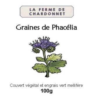 Graines de phacélia